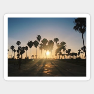 Venice Beach Sunset Lens Flare Sticker